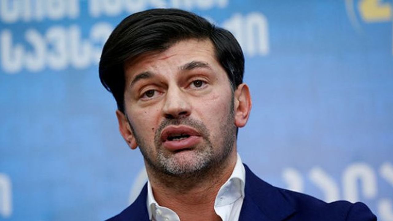 Gürcistan'dan Zelenskiy'e tepki: Kendi ülkesine baksın