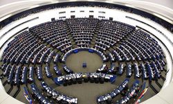 Avrupalı Parlamenterlerden Güney Afrika'ya destek çağrısı