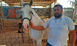 İsrail’in zorla kıtlığa sürüklediği Gazzeliler, gıda bulamayınca yemek için yaralı atı kesti