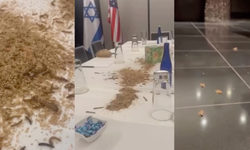Netanyahu'nun ABD'de kaldığı otele böcek salındı