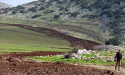 İsrailliler, Filistinlilere ait ekinleri yaktı