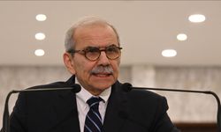 Nevvaf Selam'dan 'Suriye ile dayanışma' mesajı