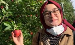 Rümeysa Öztürk'ün avukatlarından Vermont talebi