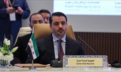 Şeybani: Anayasa sürecinde sona geldik