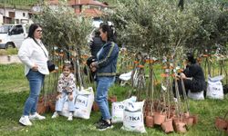 TİKA, Arnavutluk'taki ailelere zeytin fidanı hibe etti