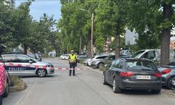 Graz'daki saldırıda ölenler arasında yabancı öğrenciler de var