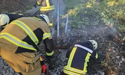 Almanya'da orman yangını nedeniyle bir mahalle tahliye edildi