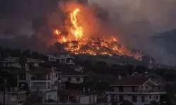Oropos'ta orman yangını çıktı