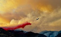 California'daki orman yangınında, 12 bin hektardan fazla alan yandı