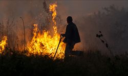 Kosova, Arnavutluk ve Kuzey Makedonya yangınlarla mücadele ediyor