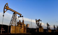 ABD'ye rağmen Ambani'nin firmasının Rus petrolü satın aldığı ortaya çıktı