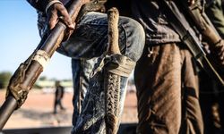 Nijerya'da 30 Boko Haram üyesi etkisiz hale getirildi