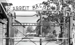 Almanya, Holokost mağdurlarına yönelik desteği rekor seviyeye çıkardı