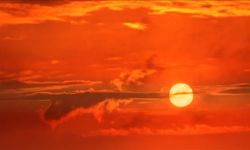 BM: Sıcaklığa bağlı ölümler yüzde 63 arttı