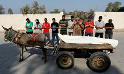 Almanya, Gazze'den yaralı insan yerine 4 eşeği kabul etti