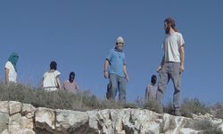 Kudüs çölünde yerleşimci saldırısı: Araziler talan edildi