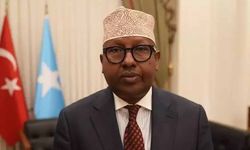 Somali'den BAE'ye rest: Egemenliğimizi ihlal ettiniz