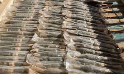 Suriye: Lübnan'a giden füze sevkiyatı yakalandı