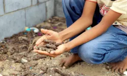 Yemen'de savaşın gölgesinde bir nesil yok oluyor