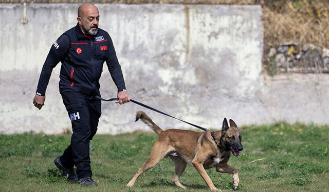 İHH arama kurtarma köpeği ve eğitmeni 122 arama timi arasında birinci oldu