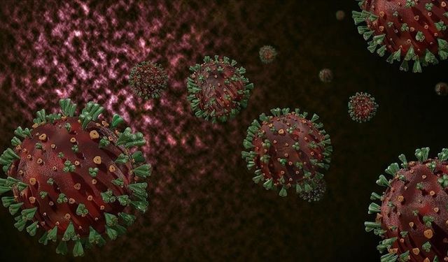 Kongo'da 9 bin 100 M çiçeği vakası kaydedildi
