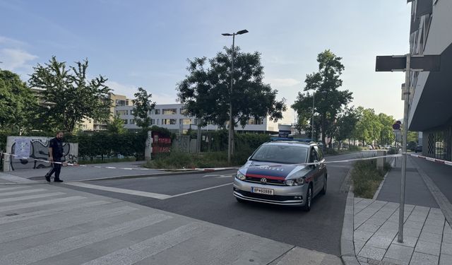 Graz'da okula  silahlı saldırı: 11 ölü