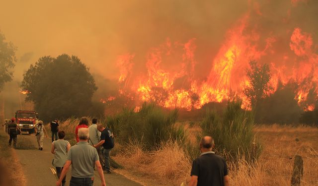 İspanya'da orman yangınları devam ediyor