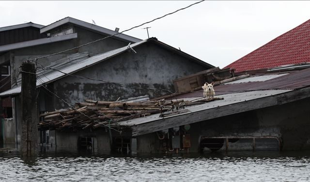 Vietnam'da Bualoi Tayfunu nedeniyle 12 kişi öldü