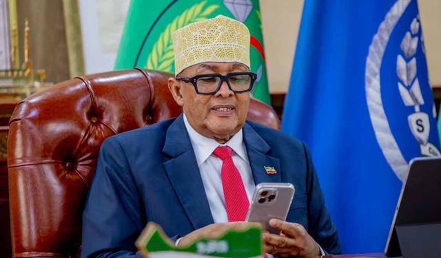 Somaliland'dan İsrail mesajı: Güvenlik işbirliği başlayacak