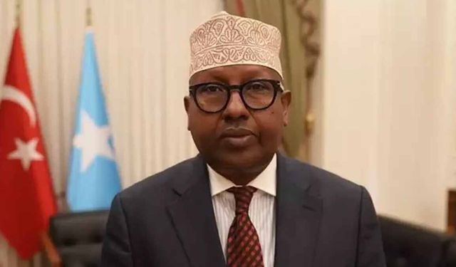 Somali'den BAE'ye rest: Egemenliğimizi ihlal ettiniz