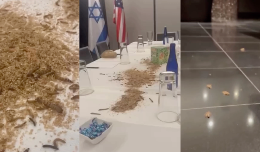 Netanyahu'nun ABD'de kaldığı otele böcek salındı